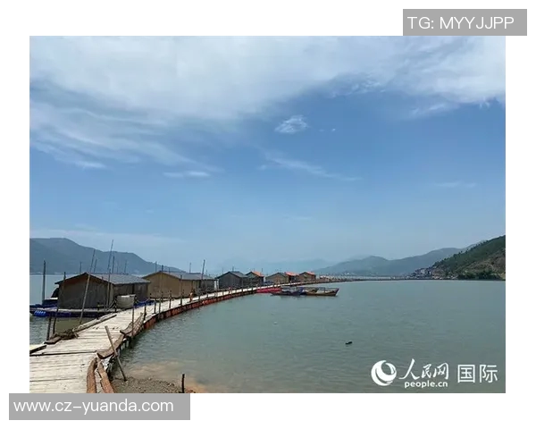 福登崛起之路：从青训新星到英超顶级球员的华丽转身