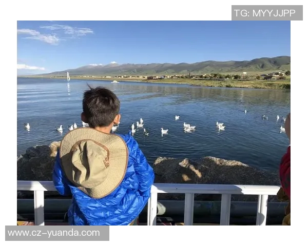 重庆篮球队区域防守革新之路探索与实践分析